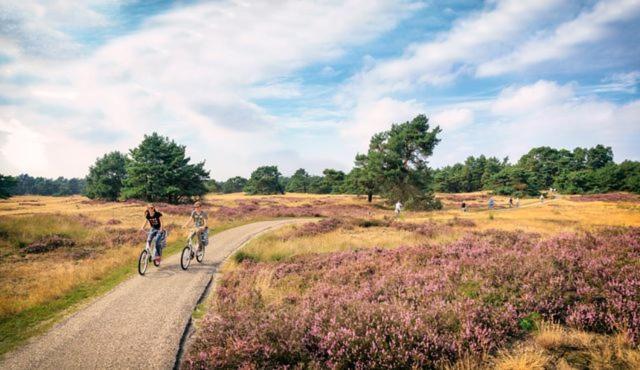 Sfeervol Chalet Op De Veluwe Putten Eksteriør bilde